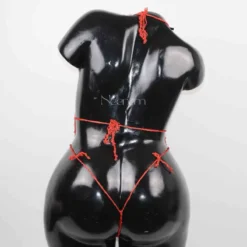 Alternative view of Camelia orange